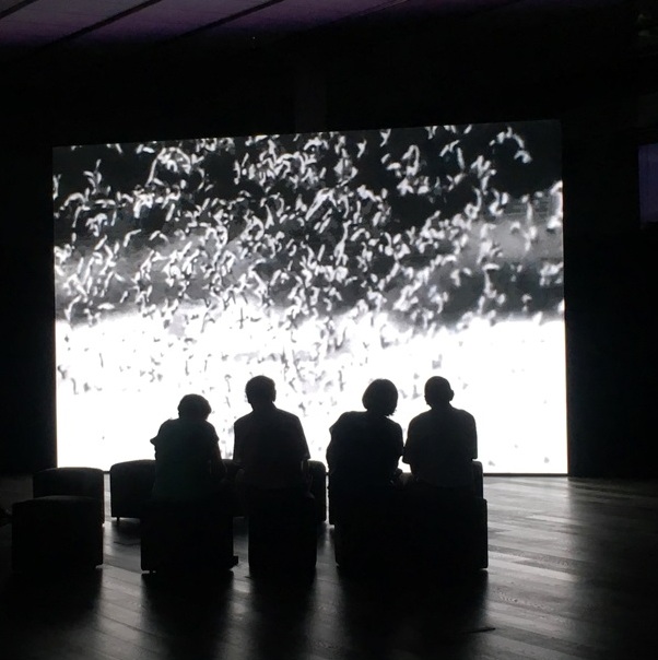 Bê-a-bá para fugir do óbvio em Buenos Aires Foto Silvio Cioffi VIVA 118