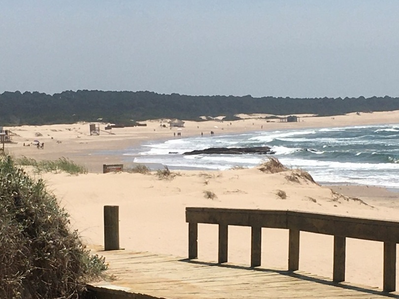 Uruguai de Montevidéu aos vinhedos da Bodega Garzón Foto Silvio Cioffi VIVA 105