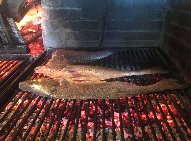 Uruguai de Montevidéu aos vinhedos da Bodega Garzón Foto Silvio Cioffi VIVA 21