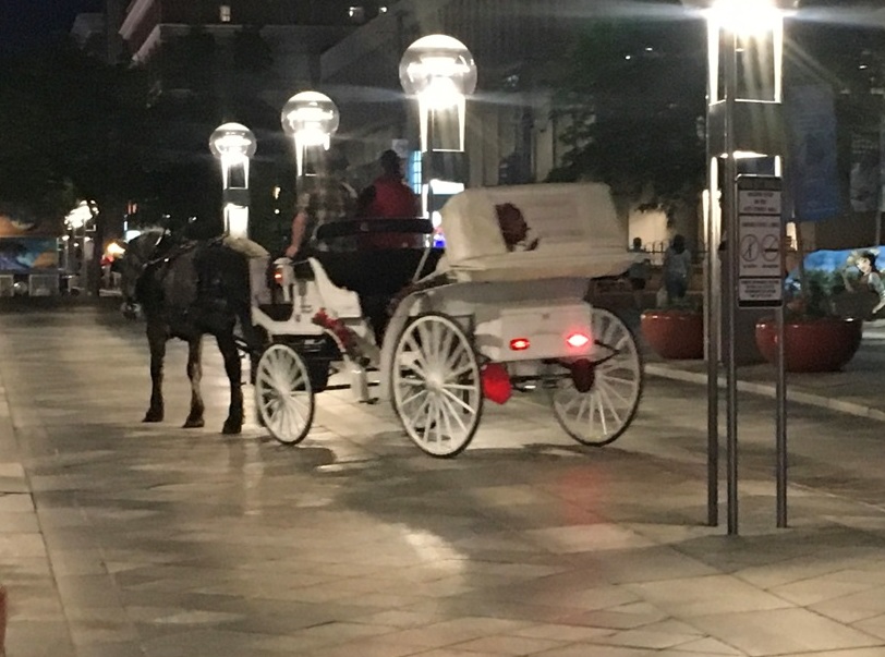 Denver entre as artes e a música pop Foto Silvio Cioffi VIVA 12