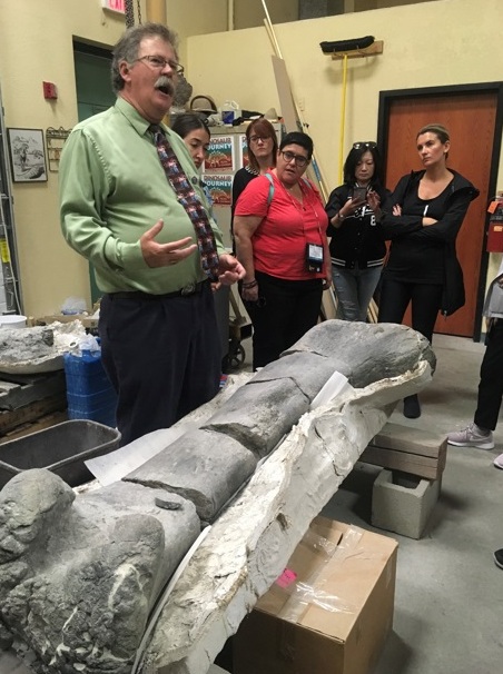 É tempo de Colorado colorido Foto Silvio Cioffi VIVA 13