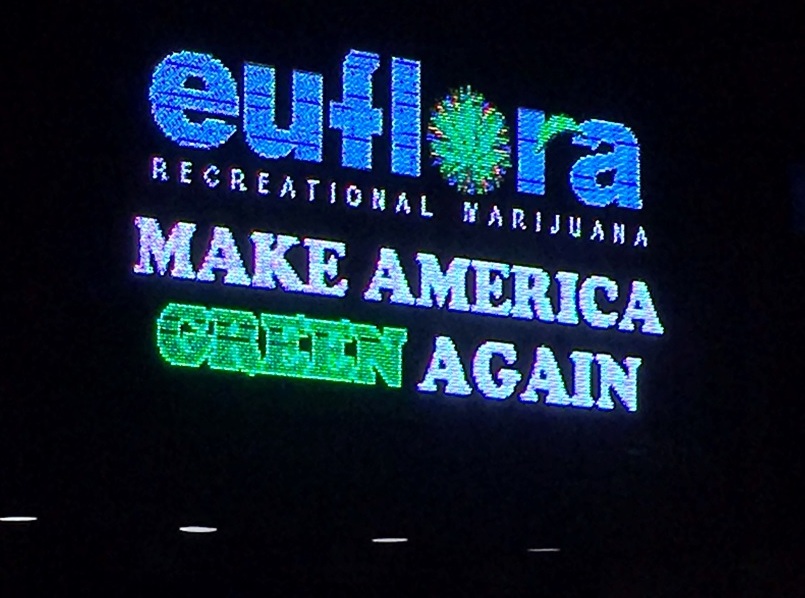 É tempo de Colorado colorido Foto Silvio Cioffi VIVA 8