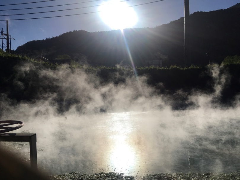 É tempo de Colorado colorido Foto Silvio Cioffi-V!VA 301