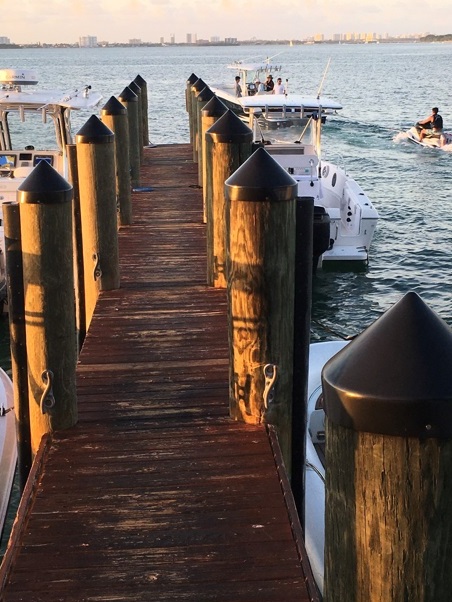 Miami, a cidade mais “caliente” dos EUA Foto Silvio Cioffi-V!VA 28