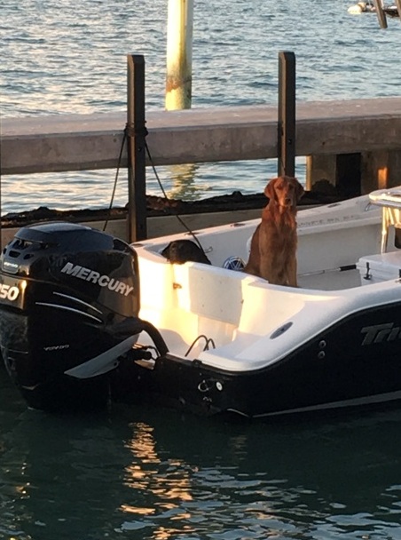 Miami, a cidade mais “caliente” dos EUA Foto Silvio Cioffi-V!VA 35