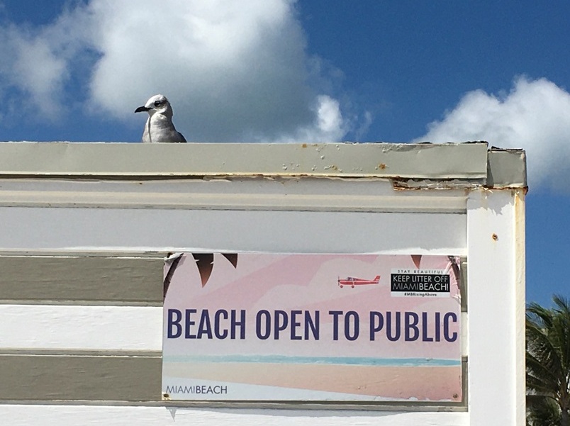 Miami, a cidade mais “caliente” dos EUA Foto Silvio Cioffi-V!VA 39