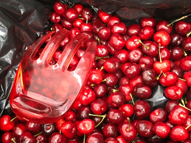 Eastern Market de DC é tombado e foi renovado Foto Silvio Cioffi-V!VA 10