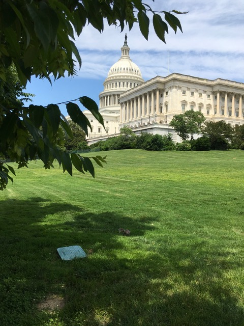 Eastern Market de DC é tombado e foi renovado Foto Silvio Cioffi-V!VA 23
