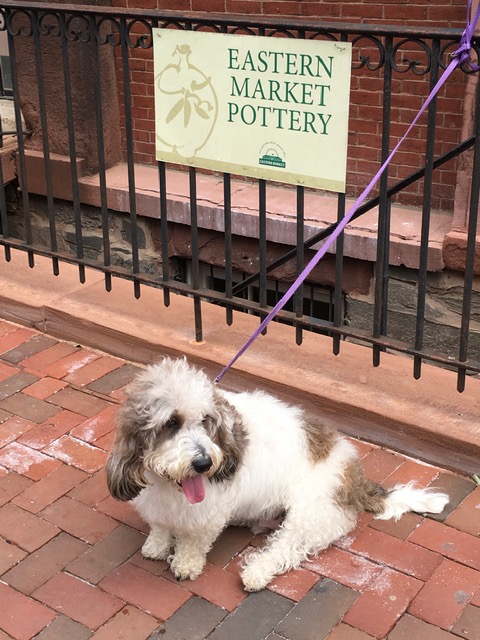 Eastern Market de DC é tombado e foi renovado Foto Silvio Cioffi-V!VA 9