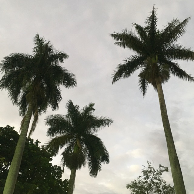 Jaú tem casarões ecléticos do apogeu do café Foto Silvio Cioffi-V!VA 19