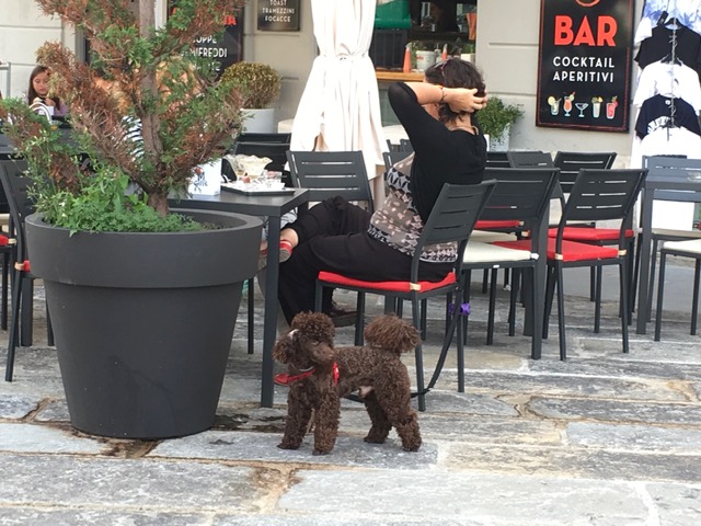 Restaurantes e buffets dão sabor inigualável a Trieste Foto Silvio Cioffi-V!VA 4