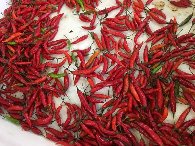 Rio Preto (SP) tem mercadão art déco de 1944 Foto Silvio Cioffi-V!VA 17