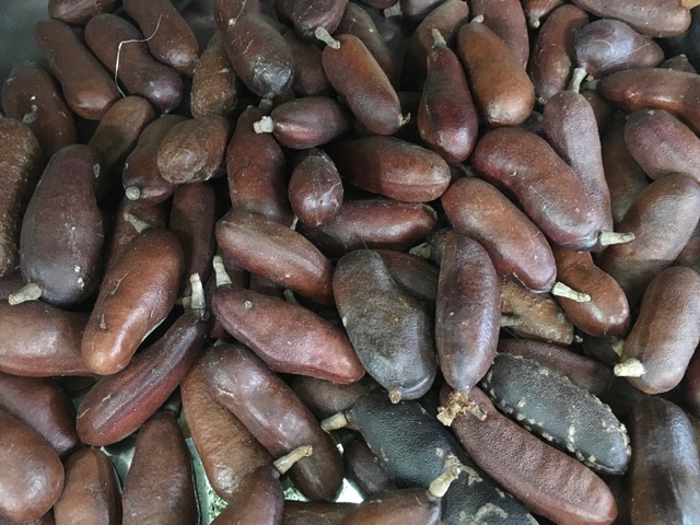 Rio Preto (SP) tem mercadão art déco de 1944 Foto Silvio Cioffi-V!VA 18