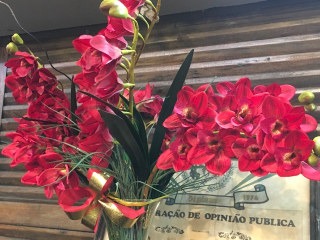 Rio Preto (SP) tem mercadão art déco de 1944 Foto Silvio Cioffi-V!VA 5