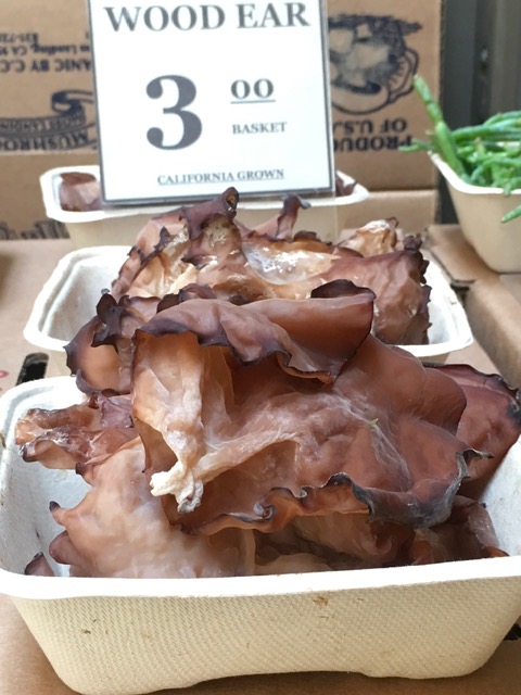 Explore passeios e gulodices na Bay Area Foto Silvio Cioffi - V!VA 5