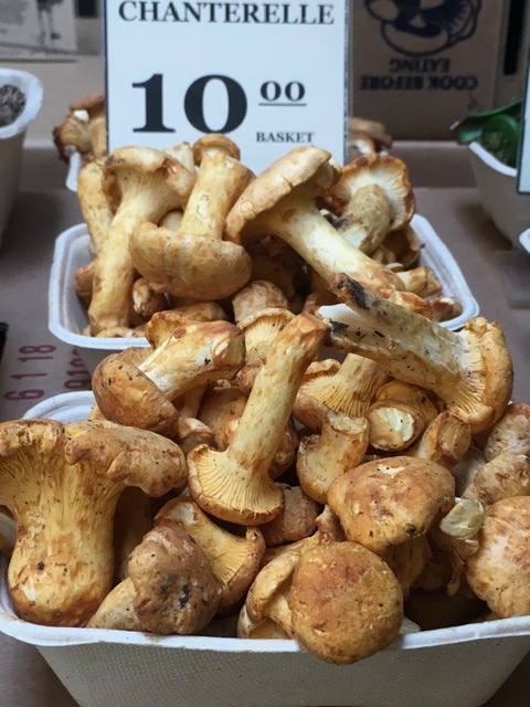 Explore passeios e gulodices na Bay Area Foto Silvio Cioffi - V!VA 4