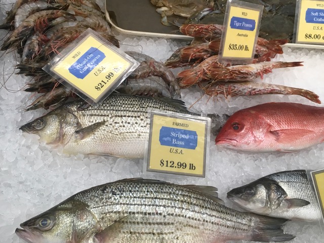 Explore passeios e gulodices na Bay Area Foto Silvio Cioffi - V!VA 3