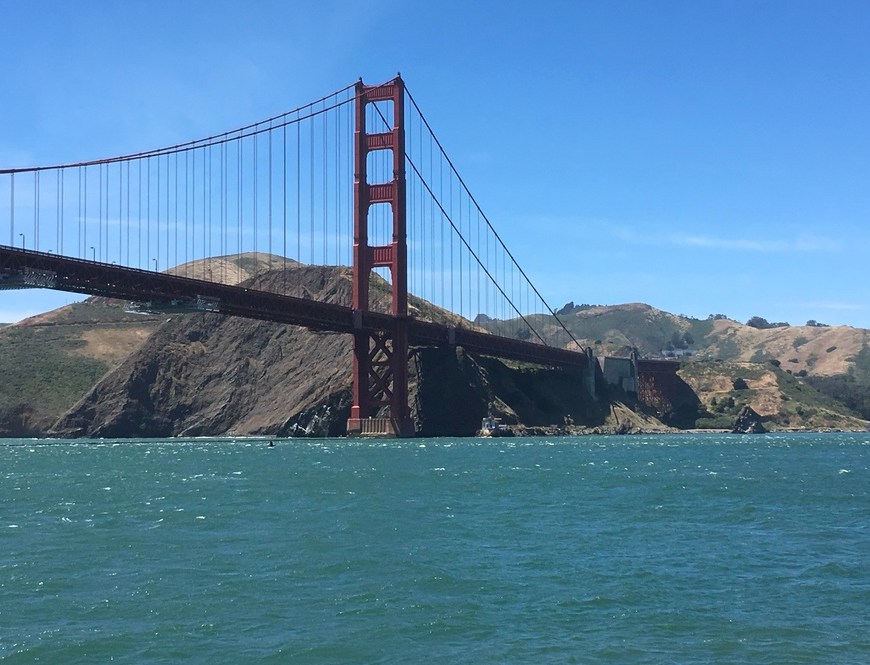 Multiétnica e cênica, San Francisco é o berço da vanguarda californiana Foto Silvio Cioffi - V!VA 1