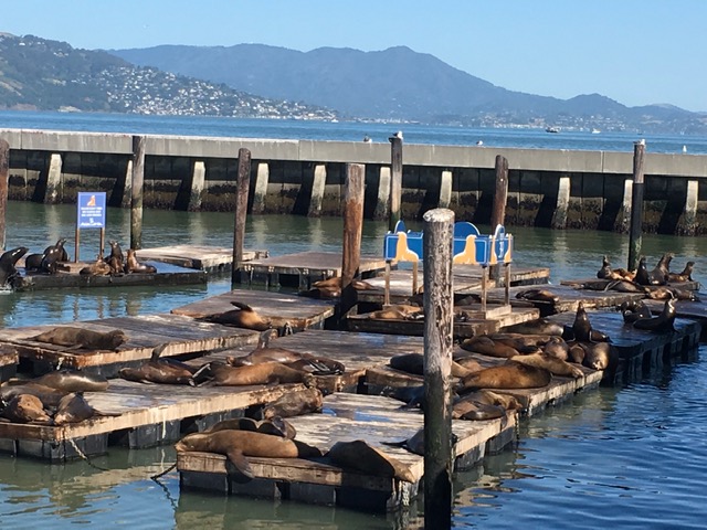 Multiétnica e cênica, San Francisco é o berço da vanguarda californiana Foto Silvio Cioffi - V!VA 77