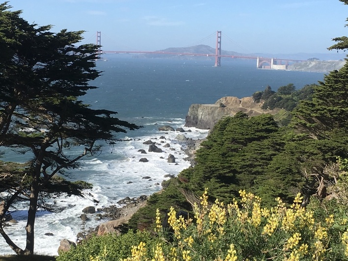 Todos os caminhos levam ao Fisherman´s Wharf Foto Silvio Cioffi - V!VA 4