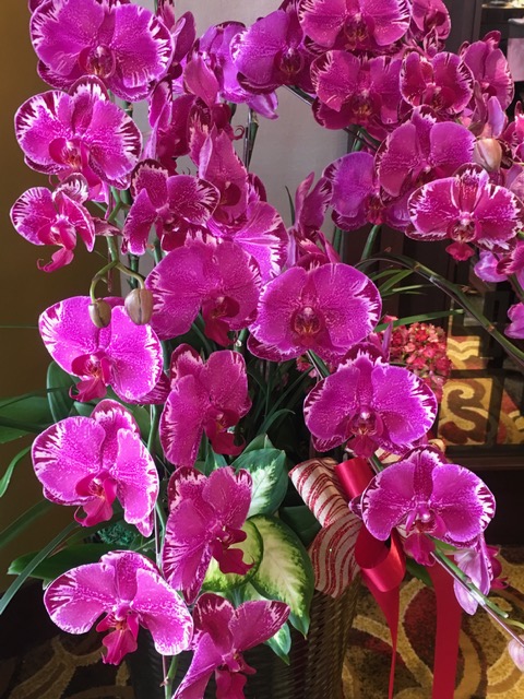 O Grand Hotel estrela a hotelaria de Taipé Foto Silvio Cioffi – V!VA 2