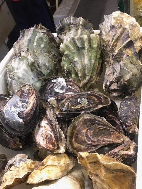 Pintung, seu mercado de peixe e a travessia para Liu Qiu Foto Silvio Cioffi – V!VA 3