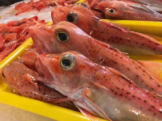Pintung, seu mercado de peixe e a travessia para Liu Qiu Foto Silvio Cioffi – V!VA 4