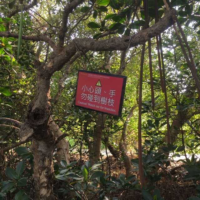 Tainan é a entrada para o Sicao Mangrove, em Taiwan Foto Silvio Cioffi – V!VA 1