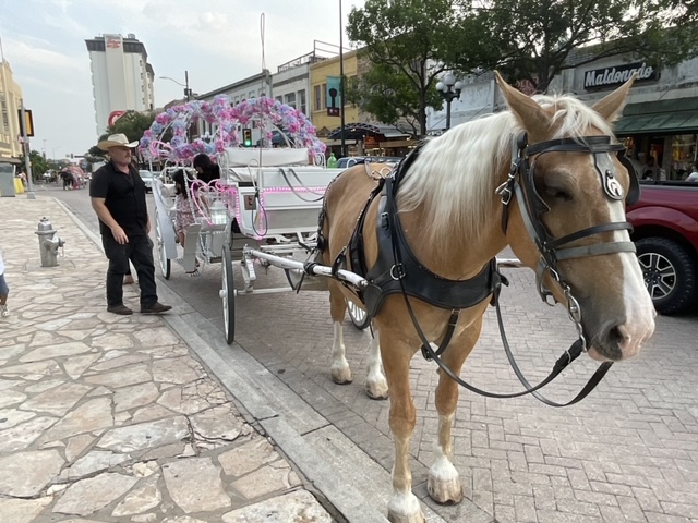 San Antonio para além do The Alamo e do River Walk Foto 52 Silvio Cioffi-V!VA