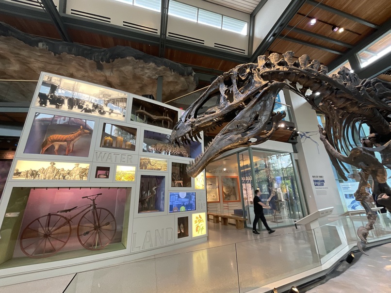 San Antonio (Texas), onde o turismo é uma “FIESTA”! 9 Foto Silvio Cioffi-V!VA