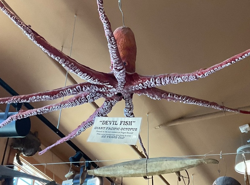 Alaskan Way é sede de píeres históricos em Seattle Foto 11 Silvio Cioffi – V!VA