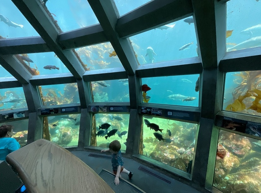 Alaskan Way é sede de píeres históricos em Seattle Foto 17 Silvio Cioffi – V!VA