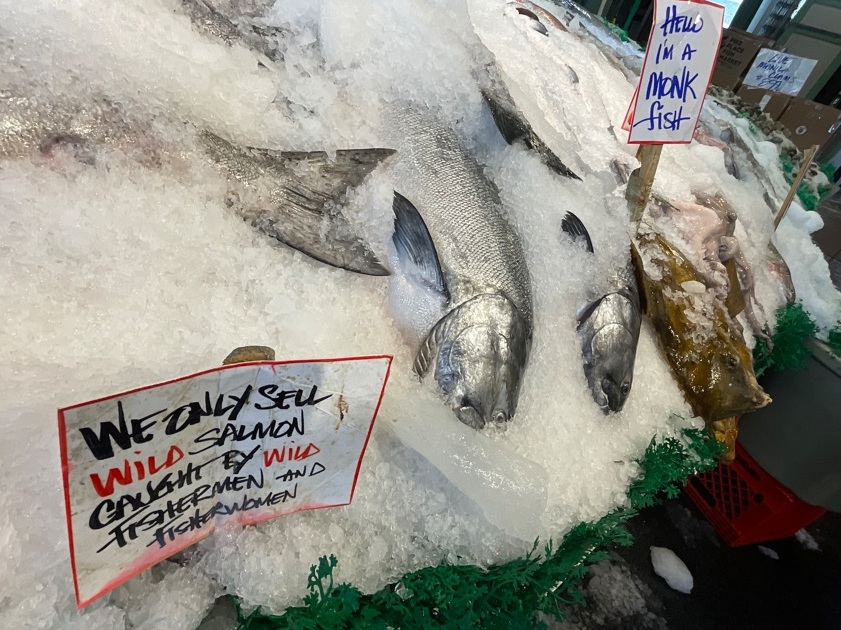 Clique para surfar os sites turísticos de Seattle Foto 101 Silvio Cioffi – V!VA