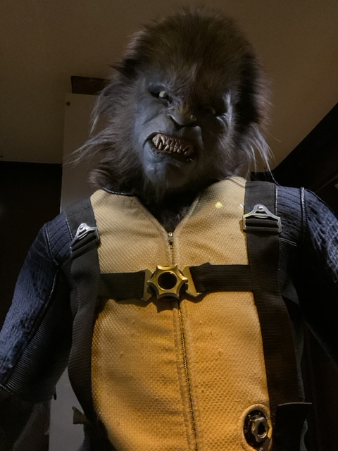 Dos primórdios ao topo da inovação, Seattle irradia alto-astral Foto 32 Silvio Cioffi-V!VA