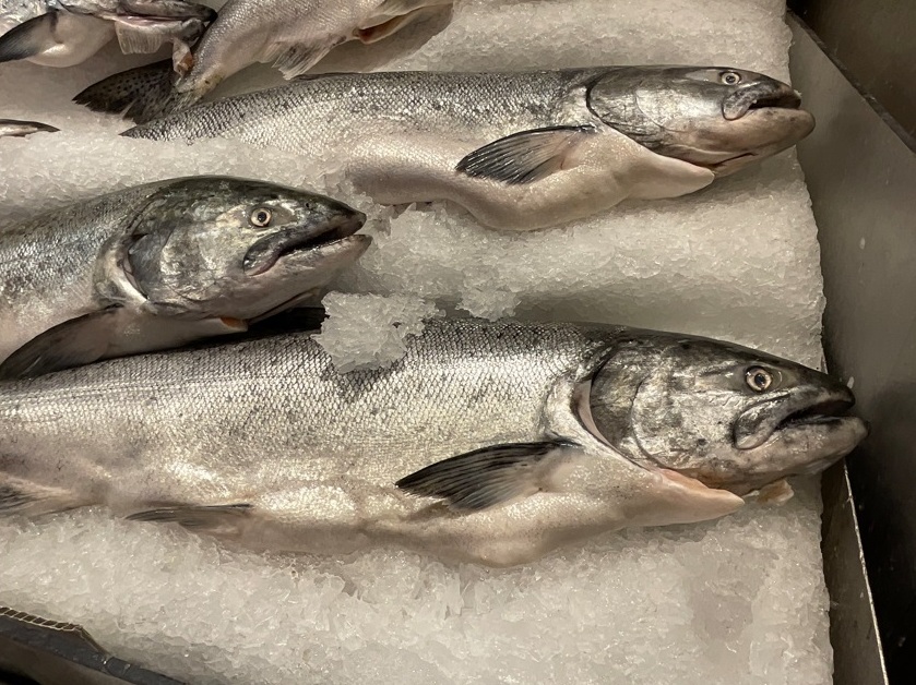 Meio hippie, mercadão Pike Place é a sala de visitas de Seattle Foto 22 Silvio Cioffi – V!VA